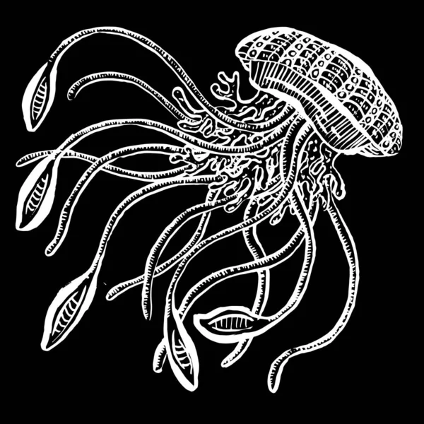 Line Art Cartoon Jellyfish Octopus Deep Sea Creatures Vector — 스톡 벡터