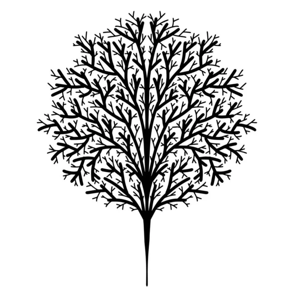 Tree Life Kézzel Rajzolt Design Vektor — Stock Vector