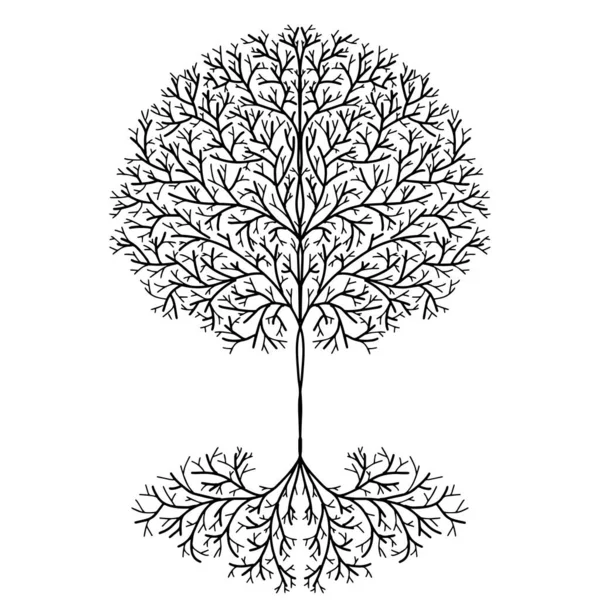 Árbol Vida Vector Diseño Dibujado Mano — Vector de stock