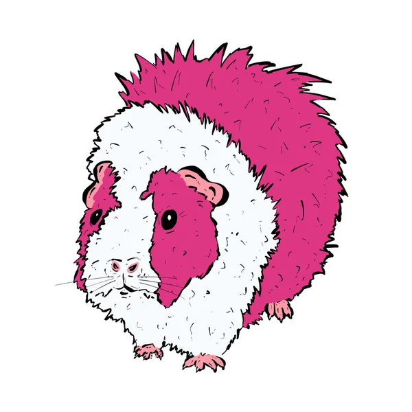 Mignon Cochon Guinée Dessin Animé Pour Animaux Compagnie Guinéapig Illustration — Image vectorielle