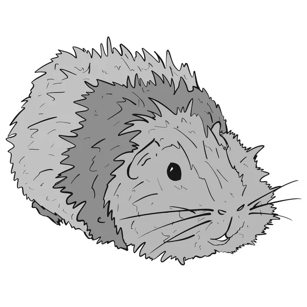 Lindo Cerdo Guinea Guineapig Mascota Ilustración Dibujos Animados Vector — Archivo Imágenes Vectoriales