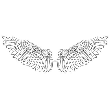 Melek Tüyü Kanatları İllüstrasyon Vektörü