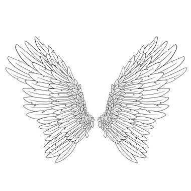 Melek Tüyü Kanatları İllüstrasyon Vektörü