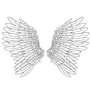 Melek Tüyü Kanatları İllüstrasyon Vektörü