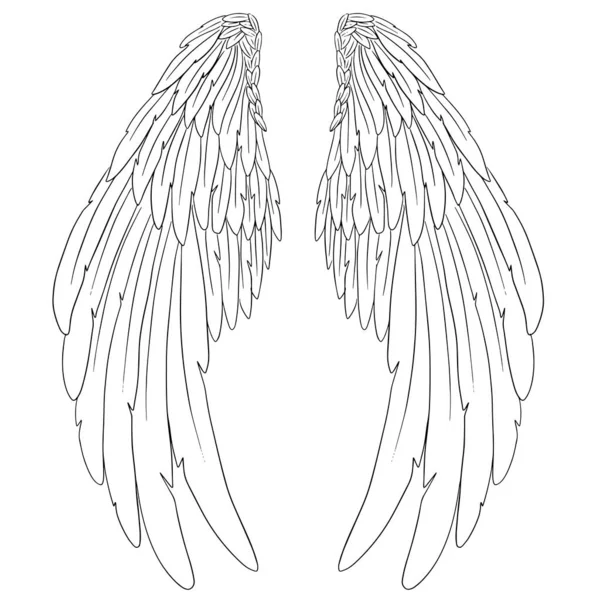 Anioł Skrzydła Pióro Ilustracja Wektor — Wektor stockowy