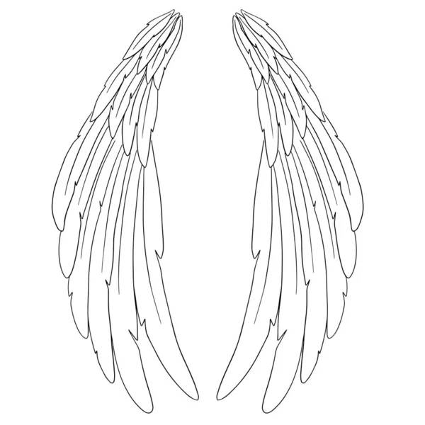 Vecteur Illustration Des Ailes Plume Ange — Image vectorielle