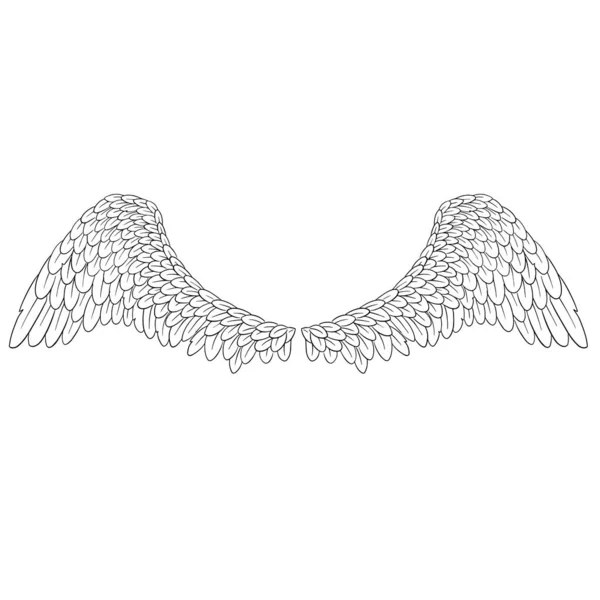 Engel Feder Flügel Illustration Vektor — Stockvektor
