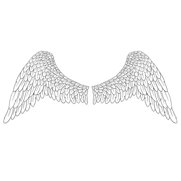 Engel Feder Flügel Illustration Vektor — Stockvektor
