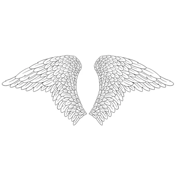 天使の羽イラストベクトル — ストックベクタ