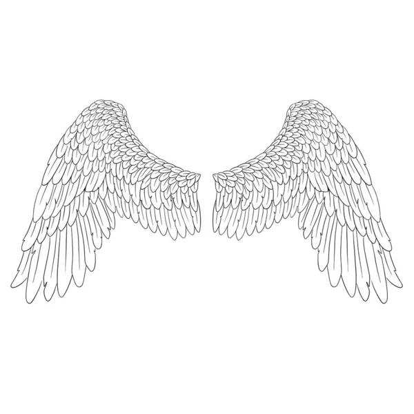 Angel Feather Wings Illustratie Vector — Stockvector