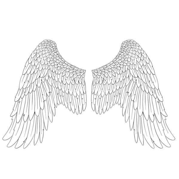 Angel Feather Asas Ilustração Vetor —  Vetores de Stock