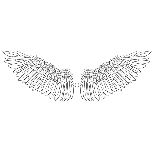 Angel Feather Asas Ilustração Vetor — Vetor de Stock