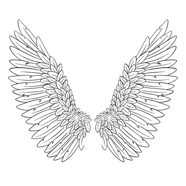 Angel Feather Asas Ilustração Vetor — Vetor de Stock