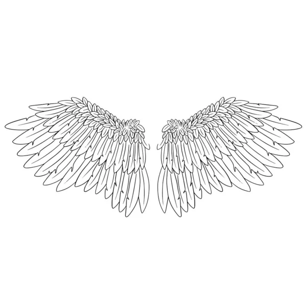 Angel Feather Asas Ilustração Vetor —  Vetores de Stock