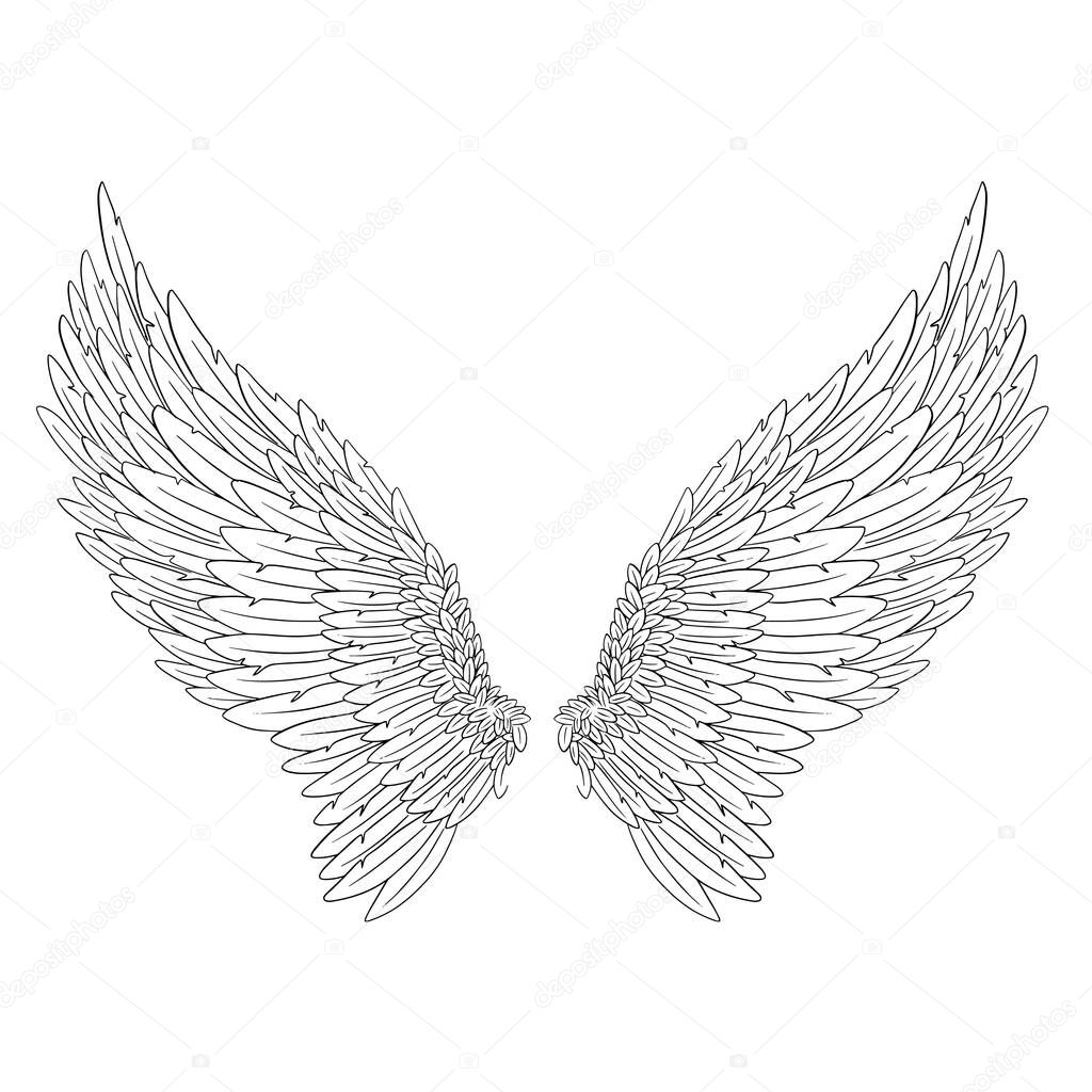 Angel Feather Wings Illustration Vector