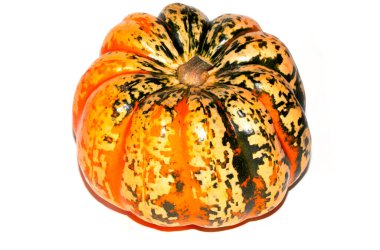 Eşsiz Soyut Turuncu ve Beyaz Arkaplanda Yeşil Renkli Ürkütücü Cadılar Bayramı Kabağı Kabağı