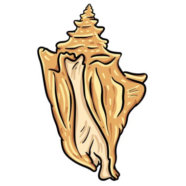 El çizimi deniz kabuğu yumuşakçaları kabuklu deniz ürünleri. 