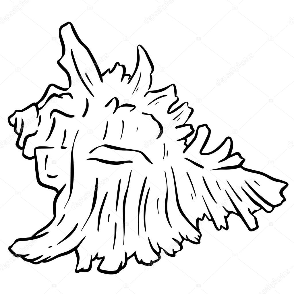 Hand drawn clipart illustration of seashell shell mollusc seaside shellfish
