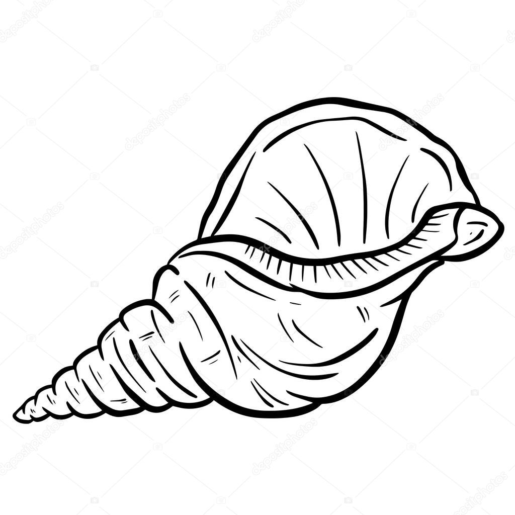 Hand drawn clipart illustration of seashell shell mollusc seaside shellfish