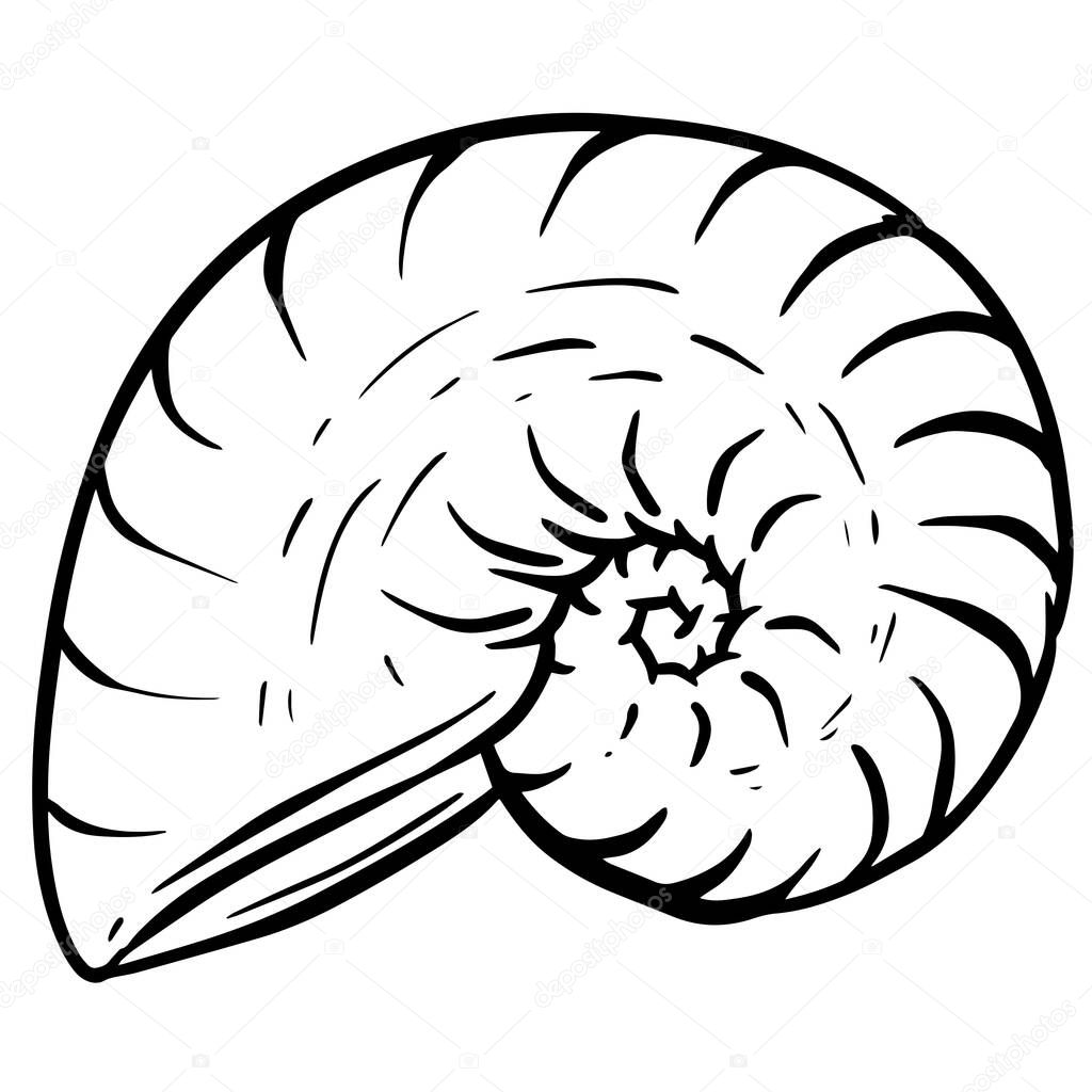 Hand drawn clipart illustration of seashell shell mollusc seaside shellfish