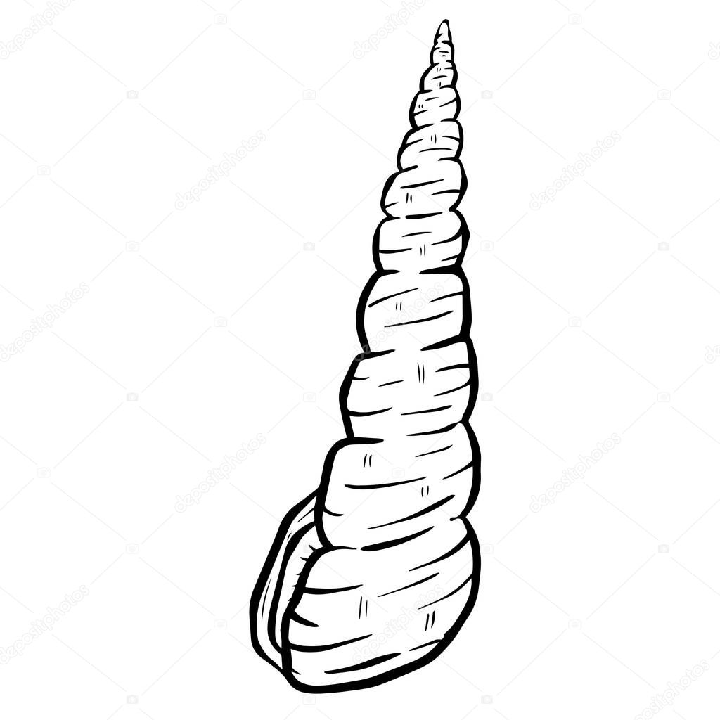 Hand drawn clipart illustration of seashell shell mollusc seaside shellfish