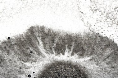 Soyut çizgileri ve girdapları olan siyah beyaz mürekkep kalem arka planı ve yaratıcı monokrom sıçratır.