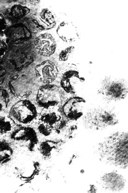 Soyut grunge siyah ve beyaz sıkıntılı doku yırtılmış şeffaf buruşuk endüstriyel kaplama arka plan