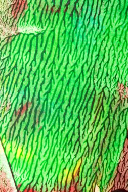 Kalın, canlı, soyut akrilik boya dokusu ve sıçramış çizgiler.