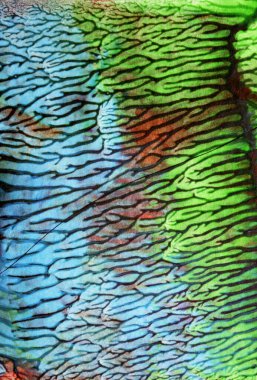 Kalın, canlı, soyut akrilik boya dokusu ve sıçramış çizgiler.