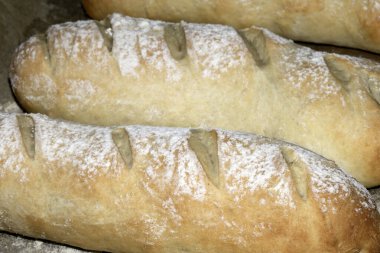 Taze ev yapımı baget ekmeği fırından yeni çıkmış ve hala pişirme tepsisinde duruyor.