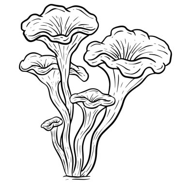 A Fungi Mushroom or Toadstool Vector Illustration Cartoon Wild