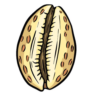 El çizimi deniz kabuğu yumuşakçaları kabuklu deniz ürünleri.