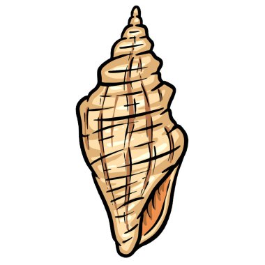 El çizimi deniz kabuğu yumuşakçaları kabuklu deniz ürünleri.