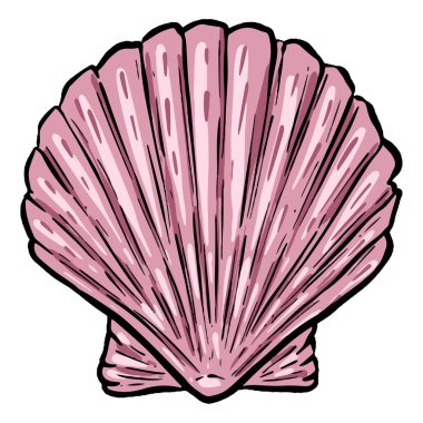 El çizimi deniz kabuğu yumuşakçaları kabuklu deniz ürünleri.