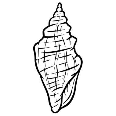 El çizimi deniz kabuğu yumuşakçaları kabuklu deniz ürünleri.