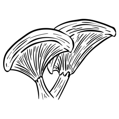Eğlenceli Mantar Mantar Mantarı Karakteri Vektör ResimleriName