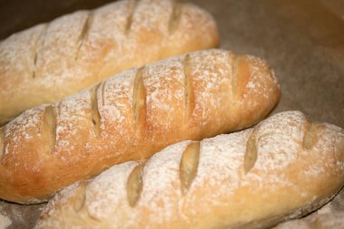 Ev yapımı taze ekmek rulosu fırından yeni çıktı.