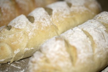 Ev yapımı taze ekmek rulosu fırından yeni çıktı.