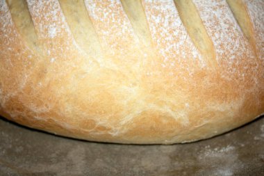 Home Made fresh bread loaf roll just come out of the oven warm