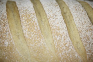 Ev yapımı taze ekmek rulosu fırından yeni çıktı.