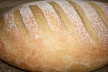 Home Made fresh bread loaf roll just come out of the oven warm