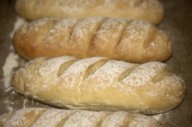 Ev yapımı taze ekmek rulosu fırından yeni çıktı.