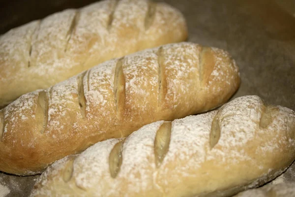 Ev yapımı taze ekmek rulosu fırından yeni çıktı.