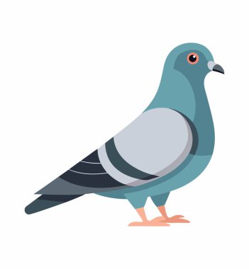 Wildlife Pigeon Illustration Isolated on White Background