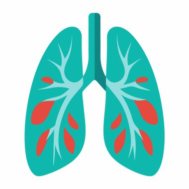 Anatomy of Lungs | Respiratory System Illustration EPS