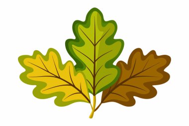 Yaprakları beyaz arka plan üzerinde illüstrasyon vektör