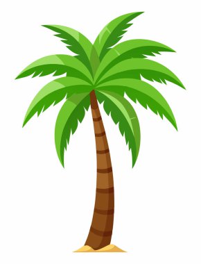 Egzotik Ada Palmiye Ağacı Resimleri Beyaz Üzerine İzole Edildi