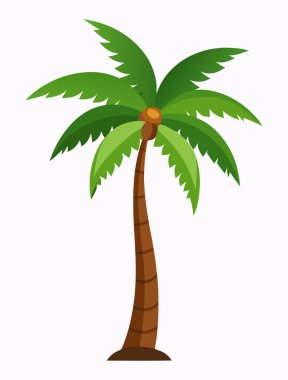 Exotic Coconut Tree Isolated Clipart for Beach Theme