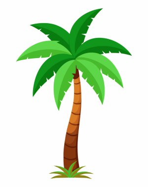 Hindistan cevizi palmiyesi Beyaz Arkaplan Vektöründe izole edildi