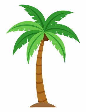 Hindistan cevizi palmiyesi Beyaz Arkaplan Vektöründe izole edildi